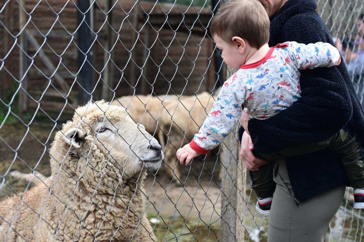 La Granja Educativa Don Benito celebró nueve años promoviendo el turismo, la educación y el bienestar animal