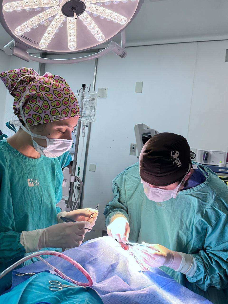 Residencias Médicas: nuevos especialistas egresaron de los hospitales municipales de Escobar