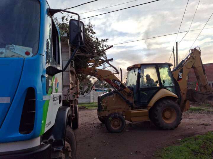 Recolección de ramas: cronograma semanal en Garín, Belén de Escobar, Loma Verde y Maquinista Savio