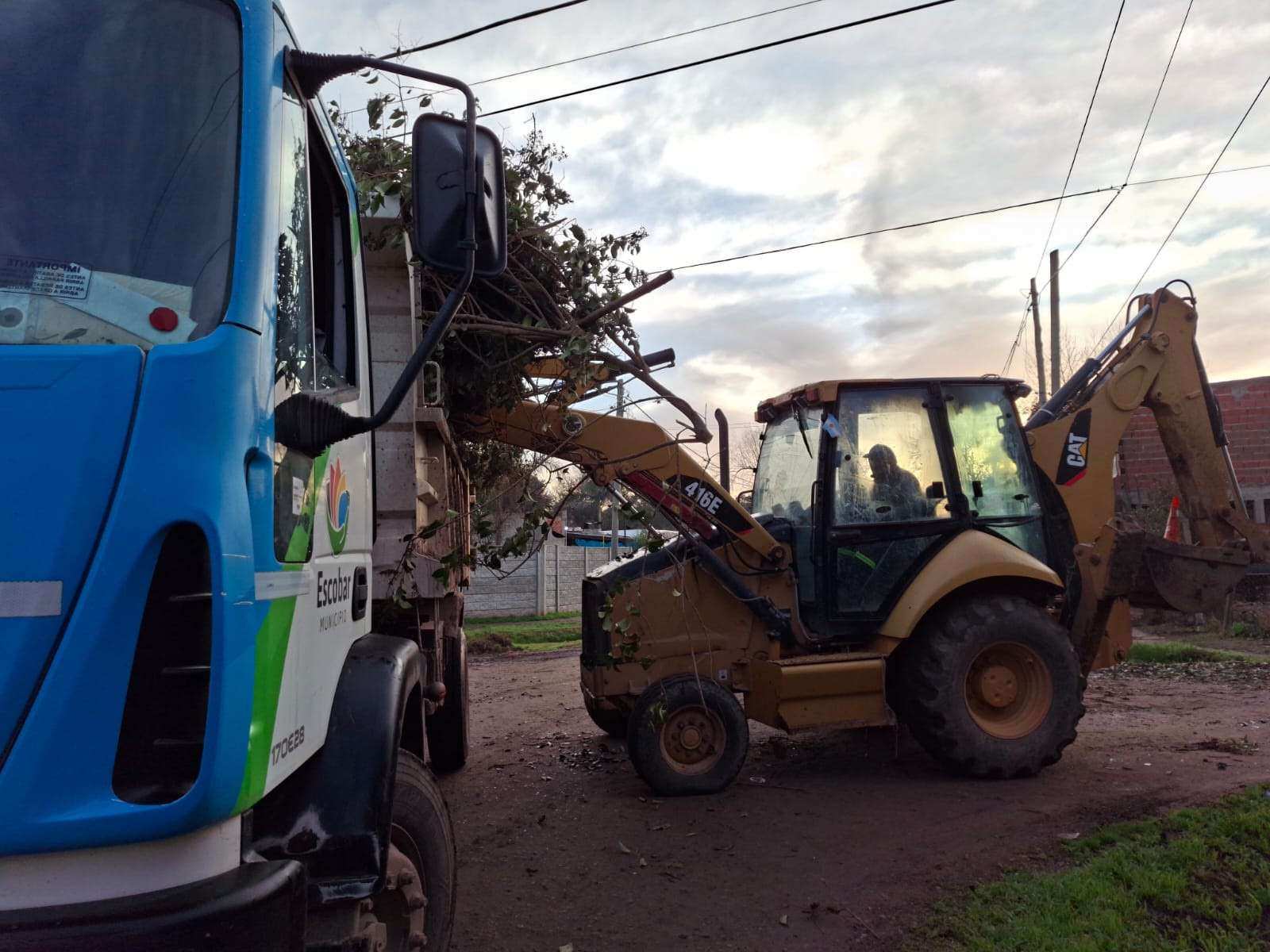 Recolección de ramas: cronograma semanal en Garín, Belén de Escobar, Loma Verde y Maquinista Savio