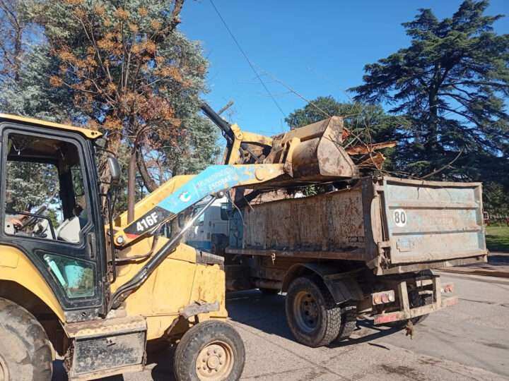 Recolección de ramas: cronograma semanal en Loma Verde y Garín