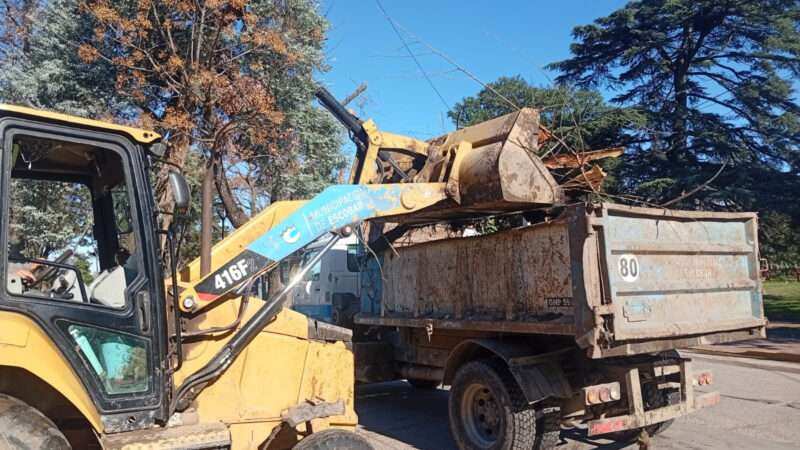 Recolección de ramas: cronograma semanal en Loma Verde y Garín