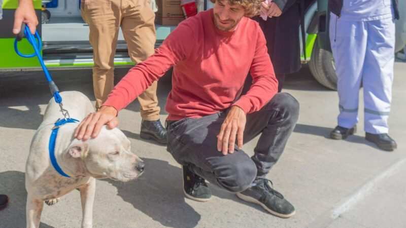 San Fernando prohibió a los criaderos de mascotas y la venta de animales en comercios