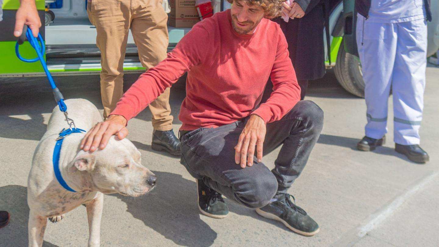 San Fernando prohibió a los criaderos de mascotas y la venta de animales en comercios