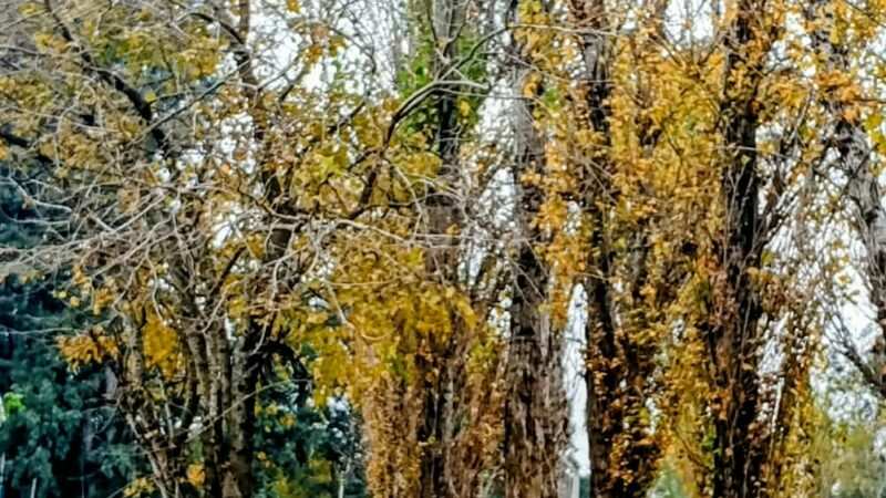 El Kairós del Otoño