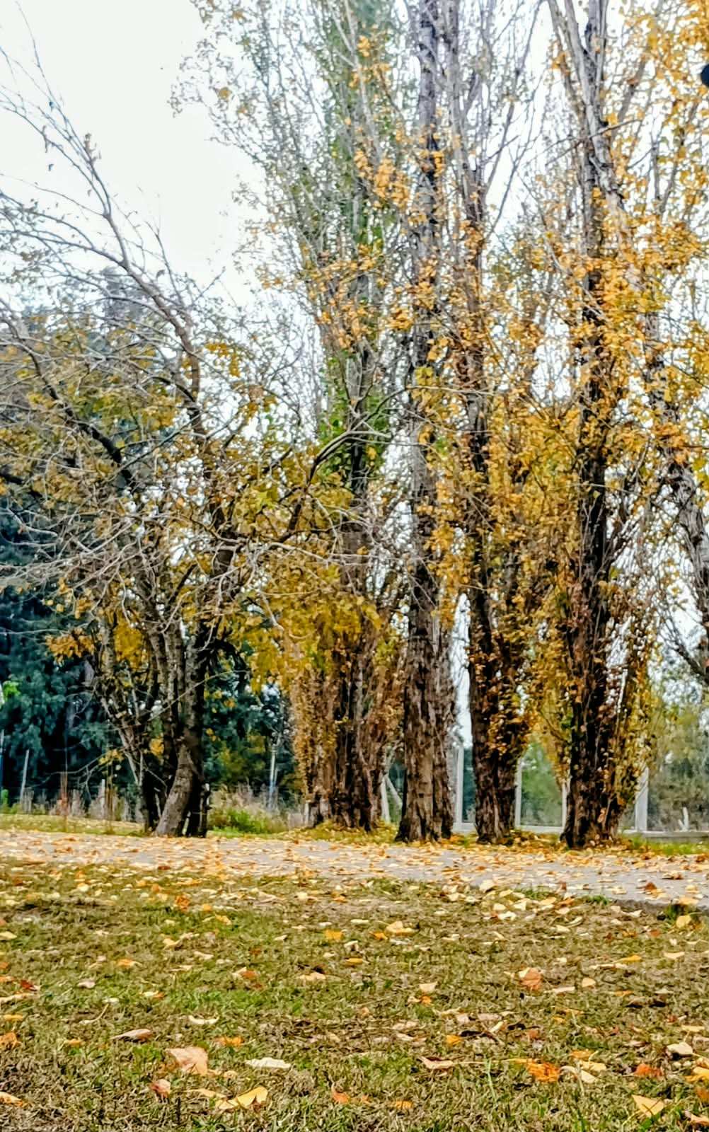 El Kairós del Otoño