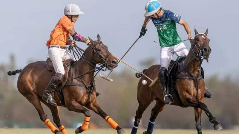 Doble sorpresa en Hurlingham: La Natividad La Dolfina y La Hache, finalistas
