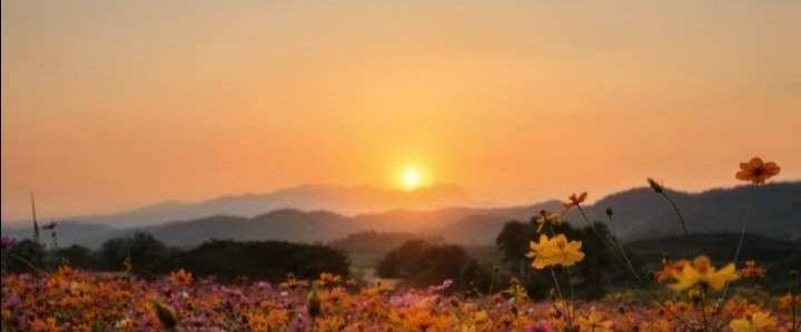 Bienvenida Primavera