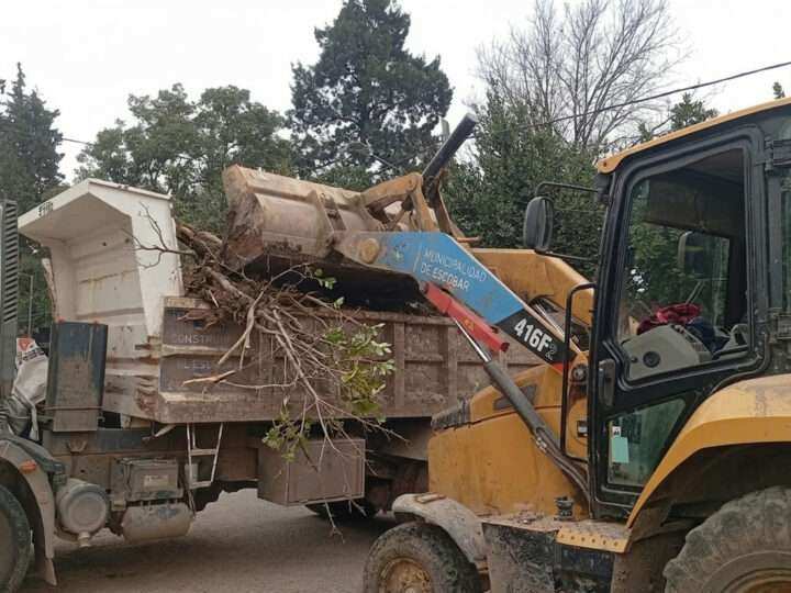 Recolección de ramas: cronograma semanal en Garín y Belén de Escobar
