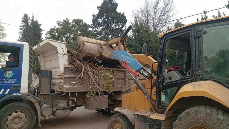Recolección de ramas: cronograma semanal en Garín y Belén de Escobar