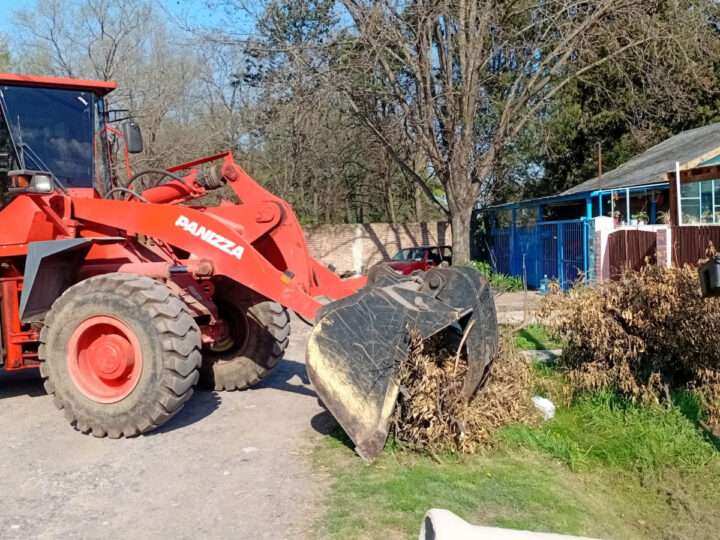 Recolección de ramas: cuándo sacar los restos de poda en cada barrio