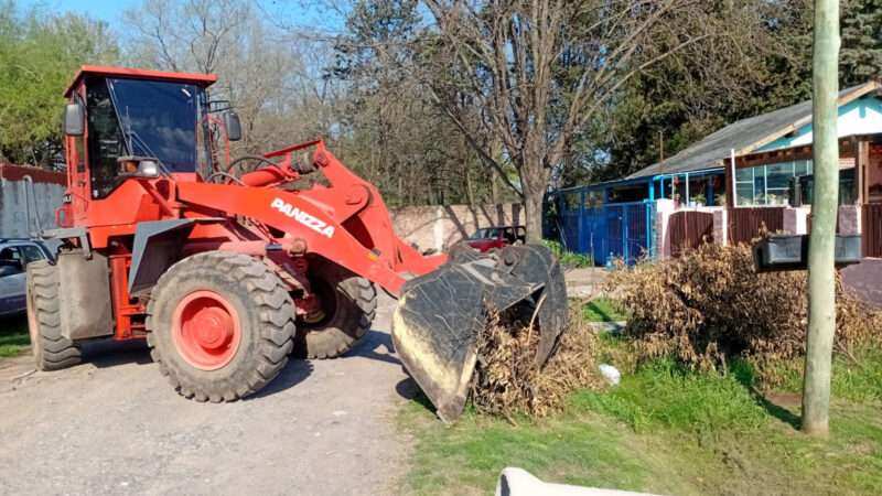 Recolección de ramas: cuándo sacar los restos de poda en cada barrio