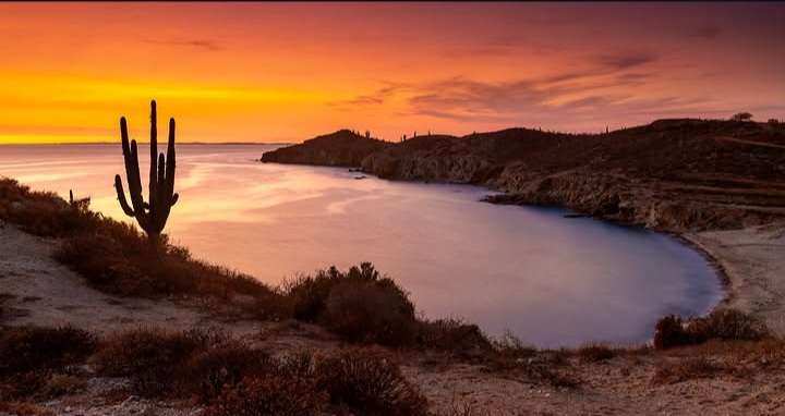 Entre el desierto y el mar