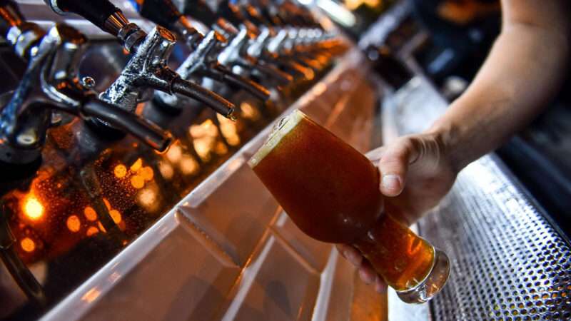 Escobar celebra la Fiesta de la Cerveza con cuatro días de música, gastronomía y producción artesanal