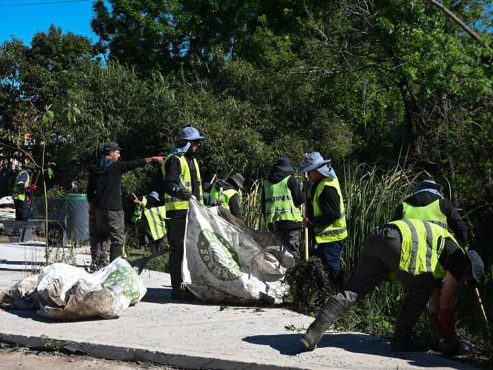 Día Verde en Ingeniero Maschwitz con trabajos de limpieza y mantenimiento urbano