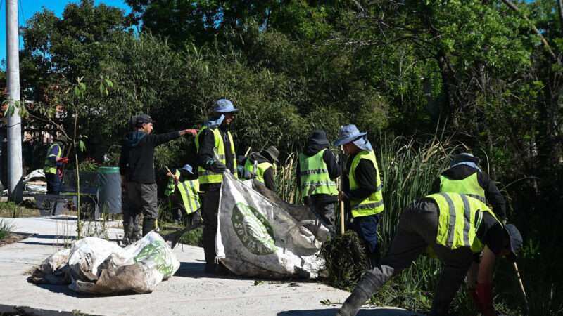 Día Verde en Ingeniero Maschwitz con trabajos de limpieza y mantenimiento urbano