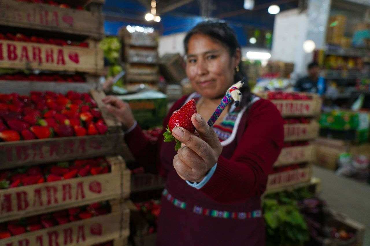 Escobar vuelve a festejar a la frutilla con la segunda edición de su fiesta