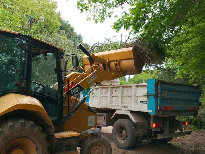 Recolección de ramas: conocé las fechas para depositarlas en Loma Verde y Belén de Escobar