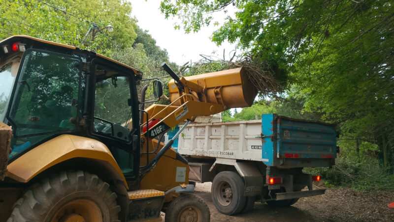 Recolección de ramas: conocé las fechas para depositarlas en Loma Verde y Belén de Escobar