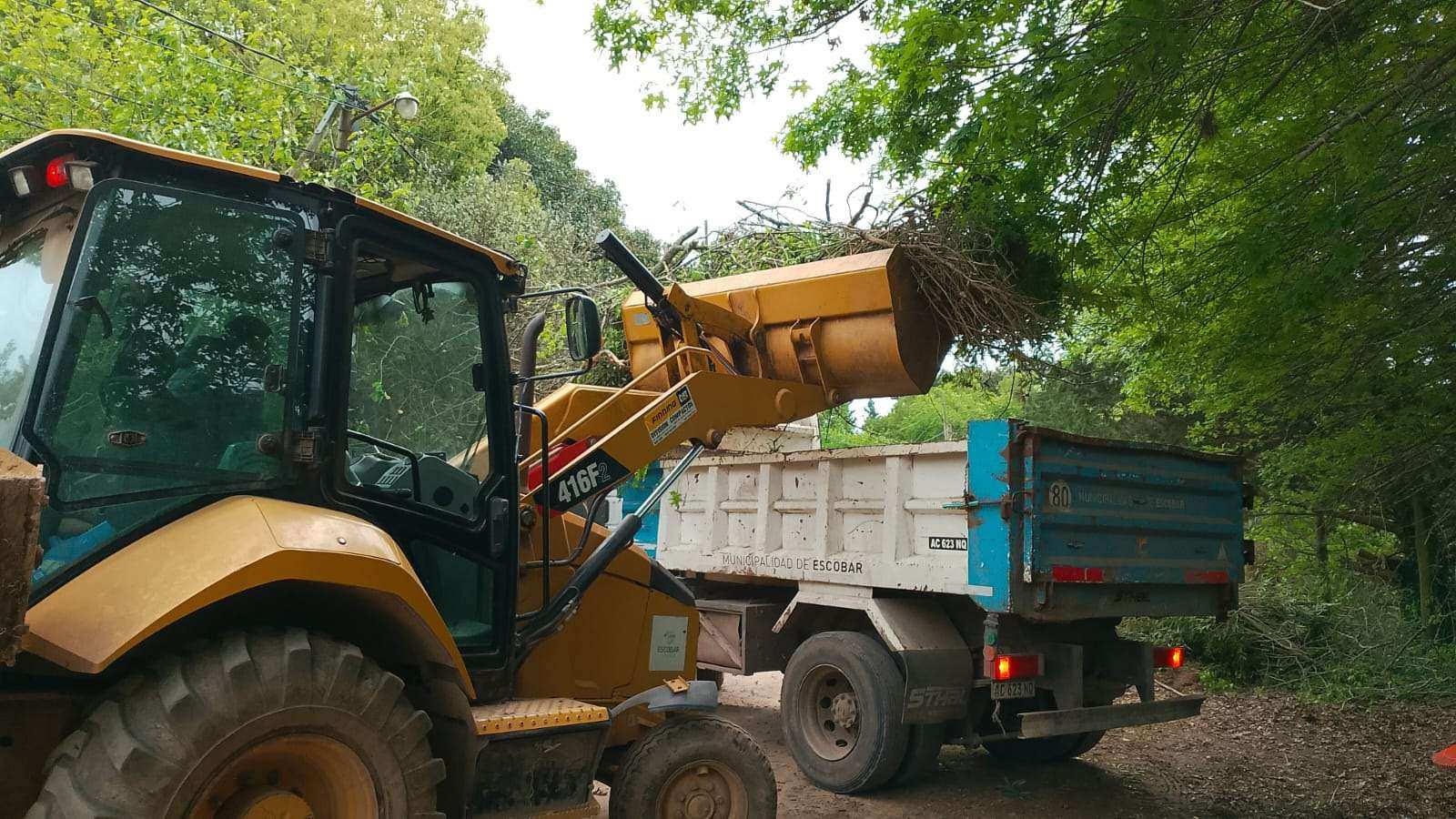 Recolección de ramas: conocé las fechas para depositarlas en Loma Verde y Belén de Escobar