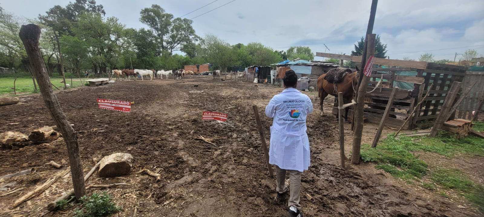 Clausuraron un pensionado de caballos sin habilitación en El Cazador